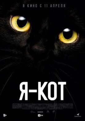 Постер до Я — кот на ГідОнлайн