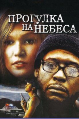 Постер до Прогулянка по небу на ГідОнлайн